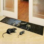 mouse traps mice