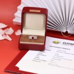 03530342-2cbd-4543-a367-e1ad9913898d