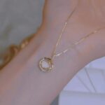 52971942-873a-4253-adc8-73214e5f3b63