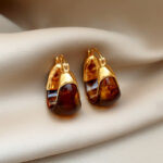 earrings 1 Pair Women's Amber Earrings French Style, High-End, Light Luxury & Vintage Ear Clips Niche, Elegant Maillard Ear