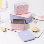 stainless steel case