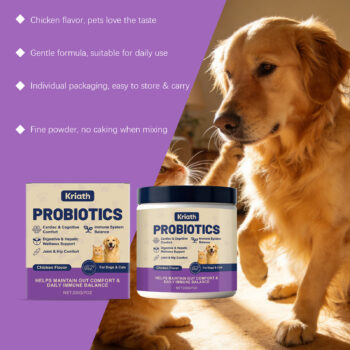 probiotic powder intestinal