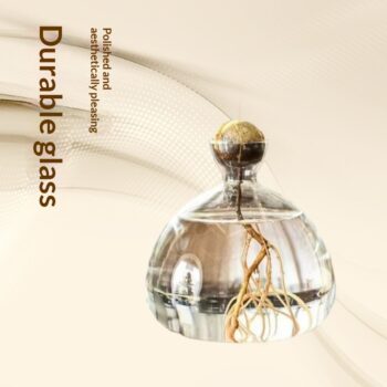 avocado hydroponic glass