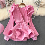 Ruffled-waist Blouse For Women Niche Style - Main product image