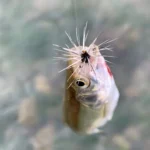 ali-3256801158024947-0-89904