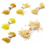 ali-3256801309182527-0-27040