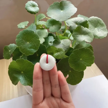 Peace Donut Healing Crystal Jadeite,circle Coin Shaped Stone Pendant