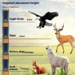 cj-2508090201271621000-0