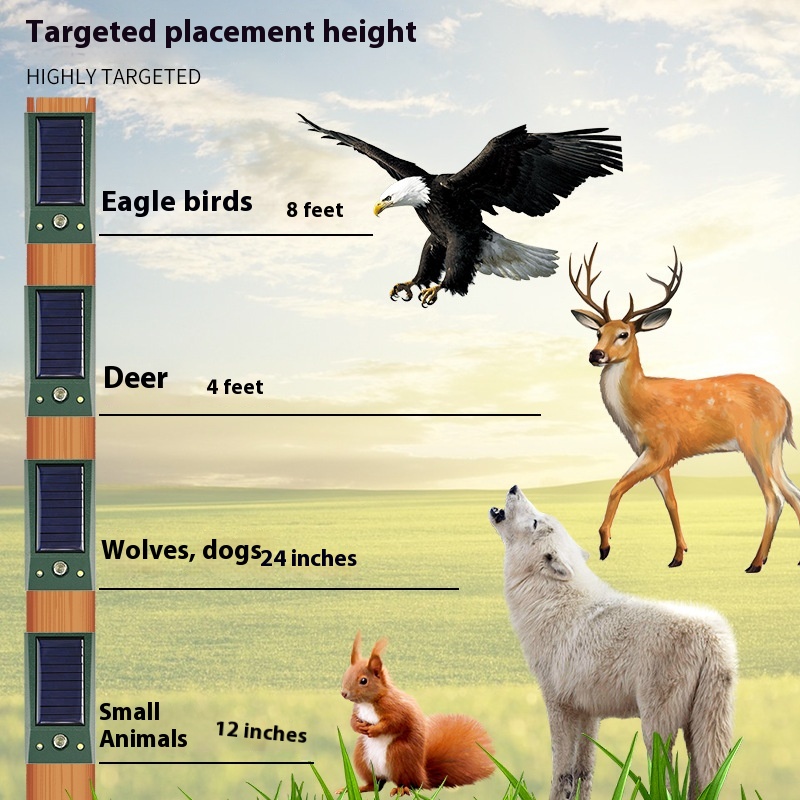 cj-2508090201271621000-4