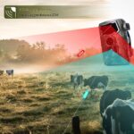 cj-2601021445581624100-0-53359