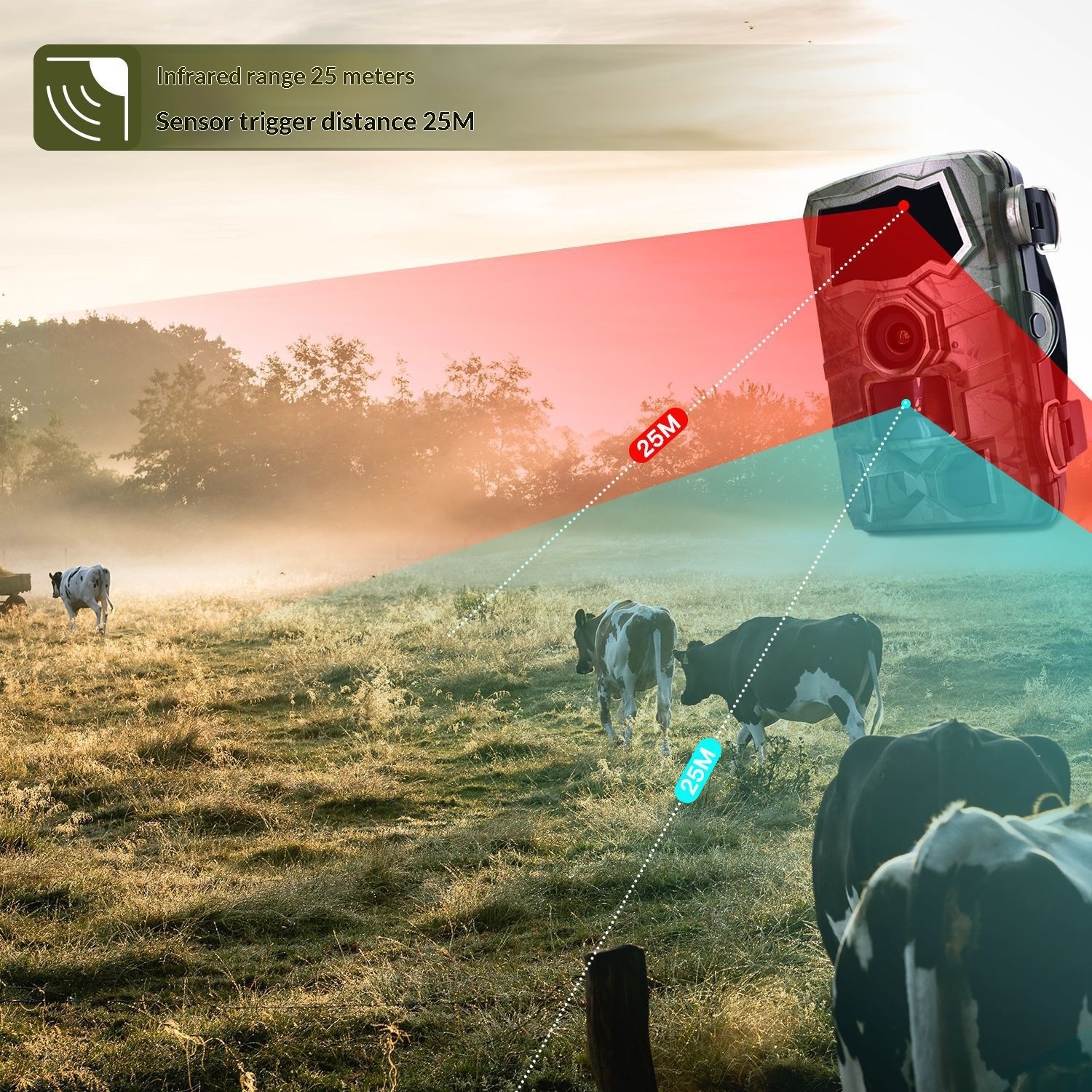 cj-2601021445581624100-5-12629 Wi-Fi Hunting Camera For Outdoor Scientific Research - View 6