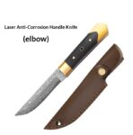 cj-2601070337051628700-0-40722