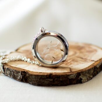 necklace Retro Openable Photo Box Glass Pendant Creative Dandelion Seed Necklace