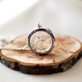 Retro Openable Photo Box Glass Pendant Creative Dandelion Seed Necklace - View 2