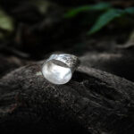 d9776b56-d02c-4f55-befc-35aabbe69f42