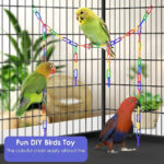 parrot bird supplies