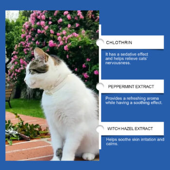 Pet Cat Irritability Care Solution - Okita Shop