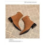 pointed-toe-chunky-heel-fashio-1-54529