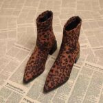 pointed-toe-chunky-heel-fashio-1-54529