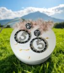 2d869367-f736-433d-b2d1-27f57c5f830f